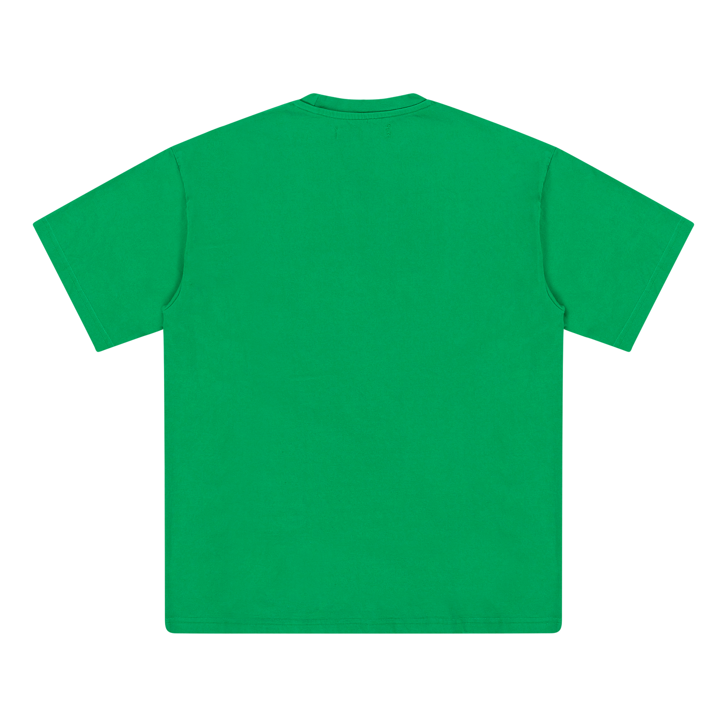 International Pre Game 2024 T-shirt Light Green